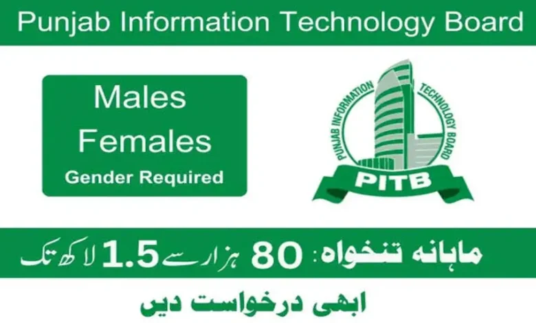 PITB Jobs