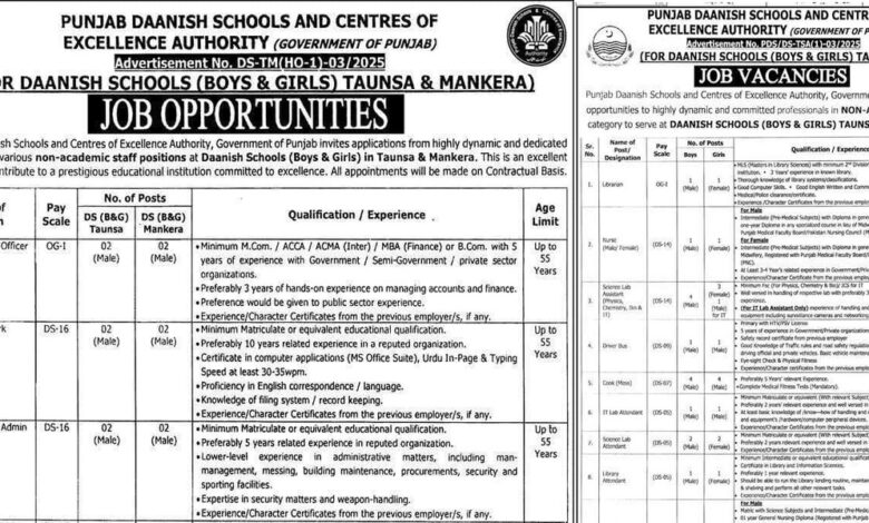 Punjab Daanish School Jobs 2025 for Non-Academic and Academic Staff – Apply Now